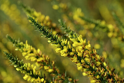 BUITEN BEELD Foto: 439385