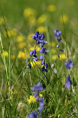 BUITEN BEELD Foto: 439399