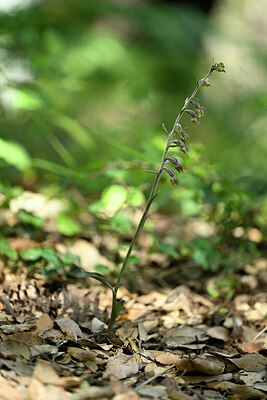 BUITEN BEELD Foto: 439400