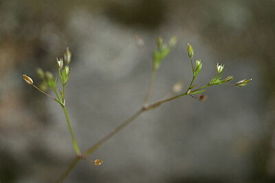 BUITEN BEELD Foto: 439401