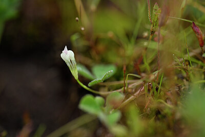 BUITEN BEELD Foto: 439414