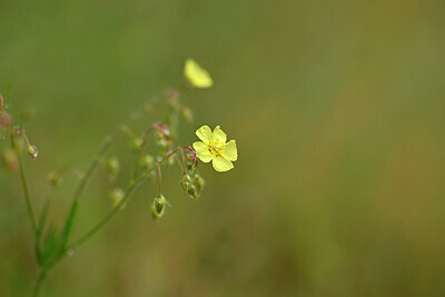 BUITEN BEELD Foto: 439422