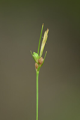 BUITEN BEELD Foto: 439433
