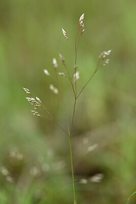 BUITEN BEELD Foto: 439443