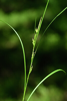 BUITEN BEELD Foto: 439447