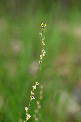 BUITEN BEELD Foto: 439450