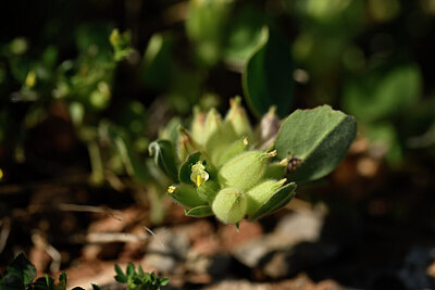 BUITEN BEELD Foto: 439453