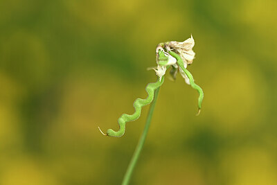 BUITEN BEELD Foto: 439499