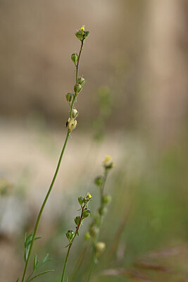 BUITEN BEELD Foto: 439533