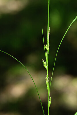BUITEN BEELD Foto: 439543