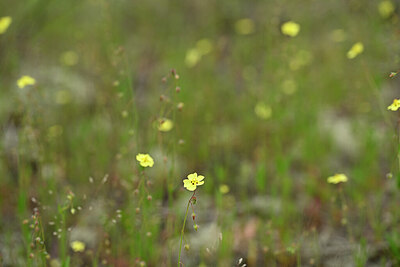 BUITEN BEELD Foto: 439546