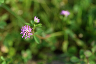 BUITEN BEELD Foto: 439594