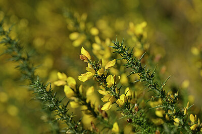 BUITEN BEELD Foto: 439602