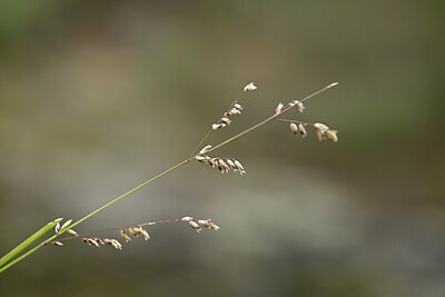 BUITEN BEELD Foto: 439608