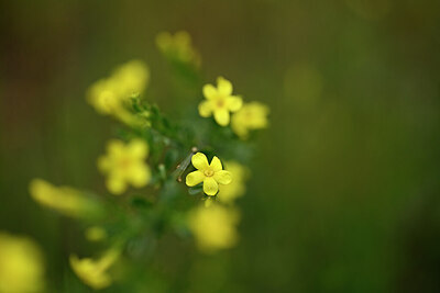 BUITEN BEELD Foto: 439633