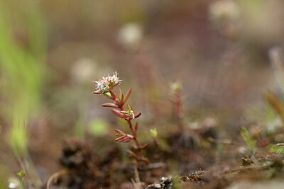 BUITEN BEELD Foto: 439669