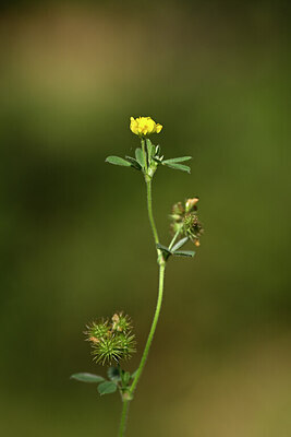 BUITEN BEELD Foto: 439684