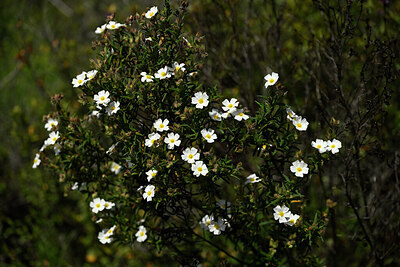 BUITEN BEELD Foto: 439693