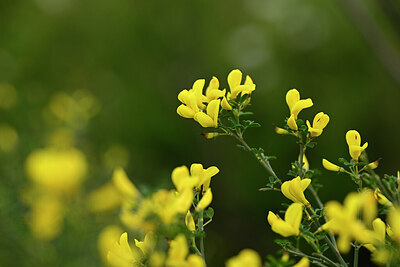 BUITEN BEELD Foto: 439719
