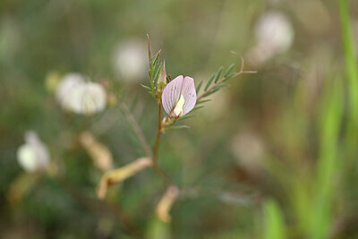 BUITEN BEELD Foto: 439732