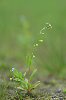 BUITEN BEELD Foto: 439738