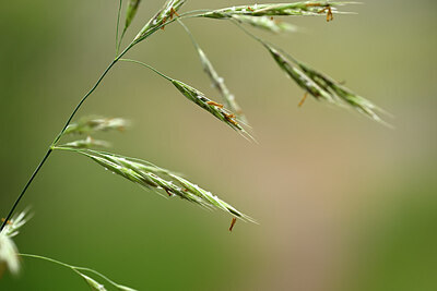 BUITEN BEELD Foto: 439740