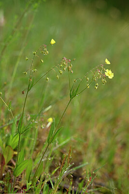 BUITEN BEELD Foto: 439747