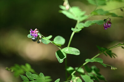 BUITEN BEELD Foto: 439750