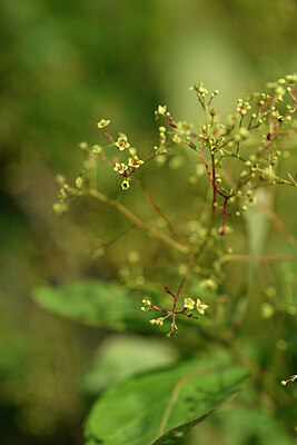 BUITEN BEELD Foto: 439768