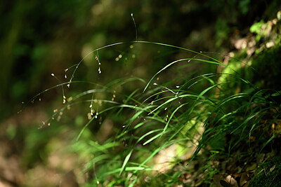 BUITEN BEELD Foto: 439772