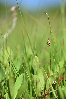 BUITEN BEELD Foto: 439803