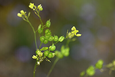 BUITEN BEELD Foto: 439830