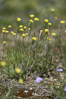 BUITEN BEELD Foto: 439850
