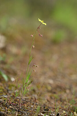 BUITEN BEELD Foto: 439853