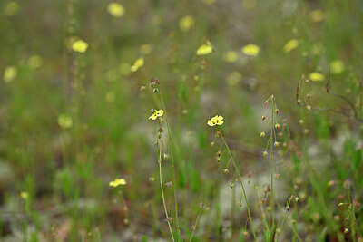 BUITEN BEELD Foto: 439894