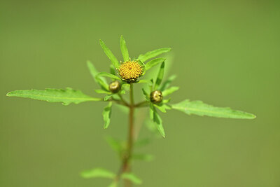 BUITEN BEELD Foto: 439899