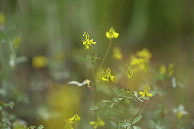 BUITEN BEELD Foto: 439902