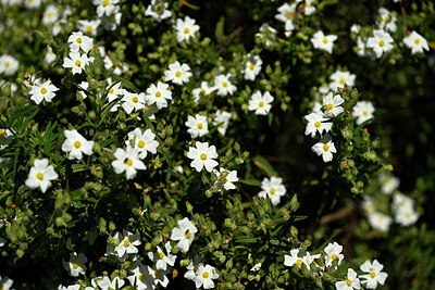 BUITEN BEELD Foto: 439913