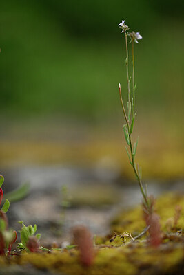 BUITEN BEELD Foto: 439925