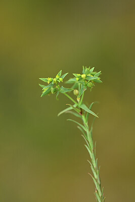 BUITEN BEELD Foto: 439940