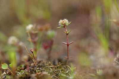 BUITEN BEELD Foto: 439941