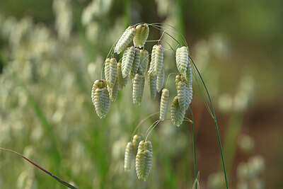 BUITEN BEELD Foto: 439964