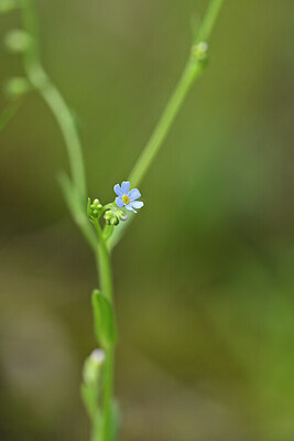 BUITEN BEELD Foto: 439965