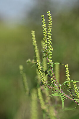BUITEN BEELD Foto: 439967