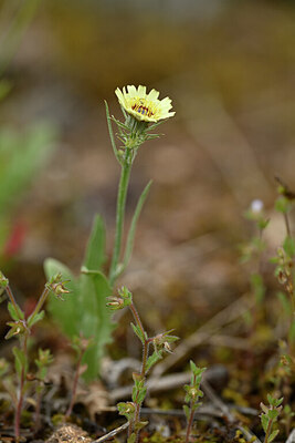 BUITEN BEELD Foto: 439975