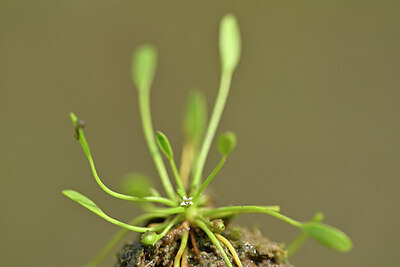 BUITEN BEELD Foto: 439993