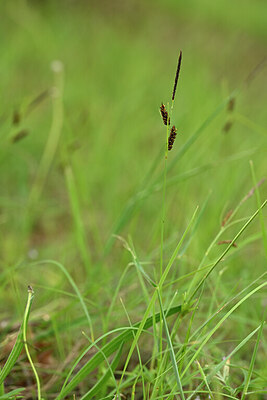 BUITEN BEELD Foto: 440002