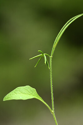 BUITEN BEELD Foto: 440014
