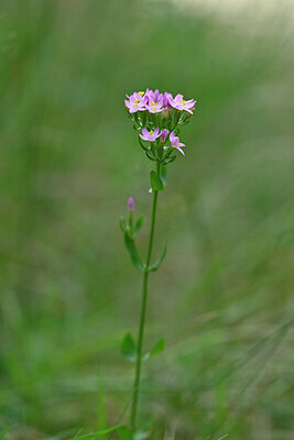 BUITEN BEELD Foto: 440017