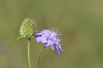 BUITEN BEELD Foto: 440039